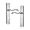 Brass Door Handle with Plate - Satin Nickel