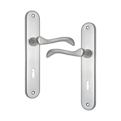 Brass Door Handle with Plate - Satin Nickel