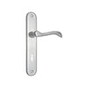 Brass Door Handle with Plate - Satin Nickel