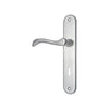 Brass Door Handle with Plate - Satin Nickel