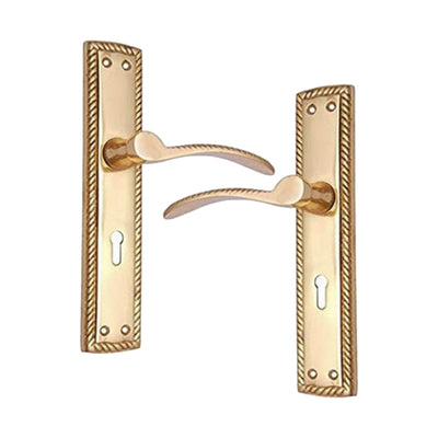 Brass Door Handle with Plate - Polish Lacquered