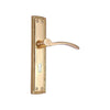 Brass Door Handle with Plate - Polish Lacquered