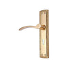 Brass Door Handle with Plate - Polish Lacquered