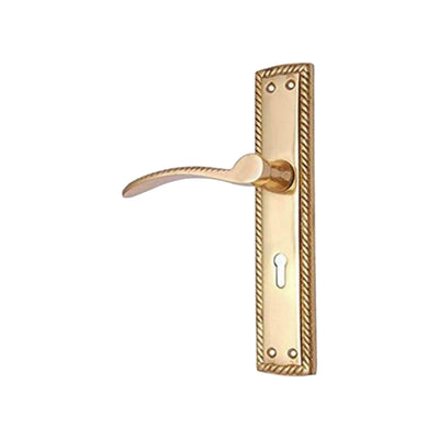 Brass Door Handle with Plate - Polish Lacquered