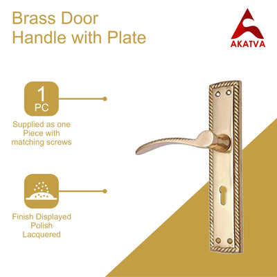 Brass Door Handle with Plate - Polish Lacquered