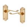 Brass Door Handle with Plate - Polish Lacquered