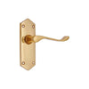 Brass Door Handle with Plate - Polish Lacquered