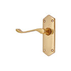 Brass Door Handle with Plate - Polish Lacquered