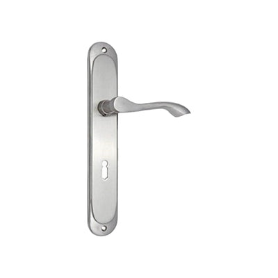 Brass Door Handle with Plate - Satin Nickel