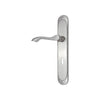 Brass Door Handle with Plate - Satin Nickel