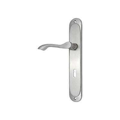 Brass Door Handle with Plate - Satin Nickel