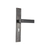 Brass Door Handle with Plate - Black Nickel