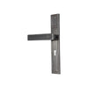 Brass Door Handle with Plate - Black Nickel