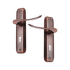 Brass Door Handle with Plate - Antique Copper