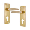 Brass Door Handle with Plate - Polish Lacquered