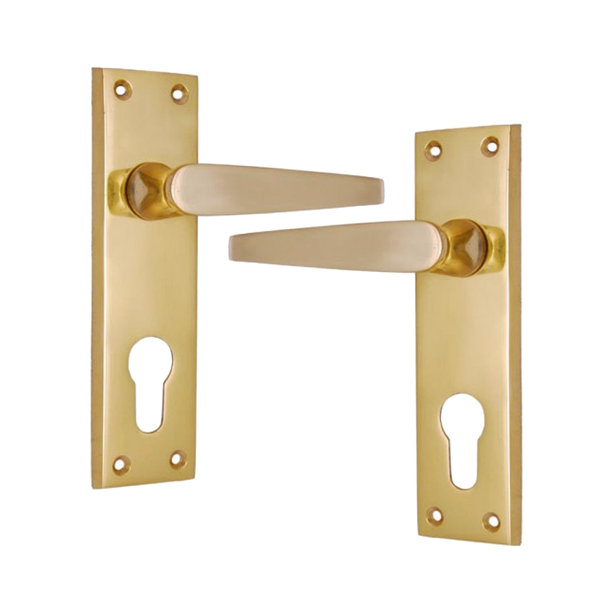 Brass Door Handle with Plate - Polish Lacquered