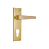 Brass Door Handle with Plate - Polish Lacquered