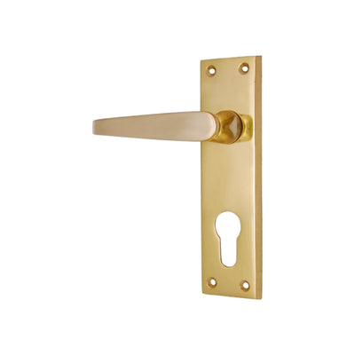 Brass Door Handle with Plate - Polish Lacquered