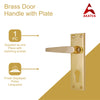 Brass Door Handle with Plate - Polish Lacquered