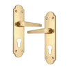 Brass Door Handle with Plate - Polish Lacquered