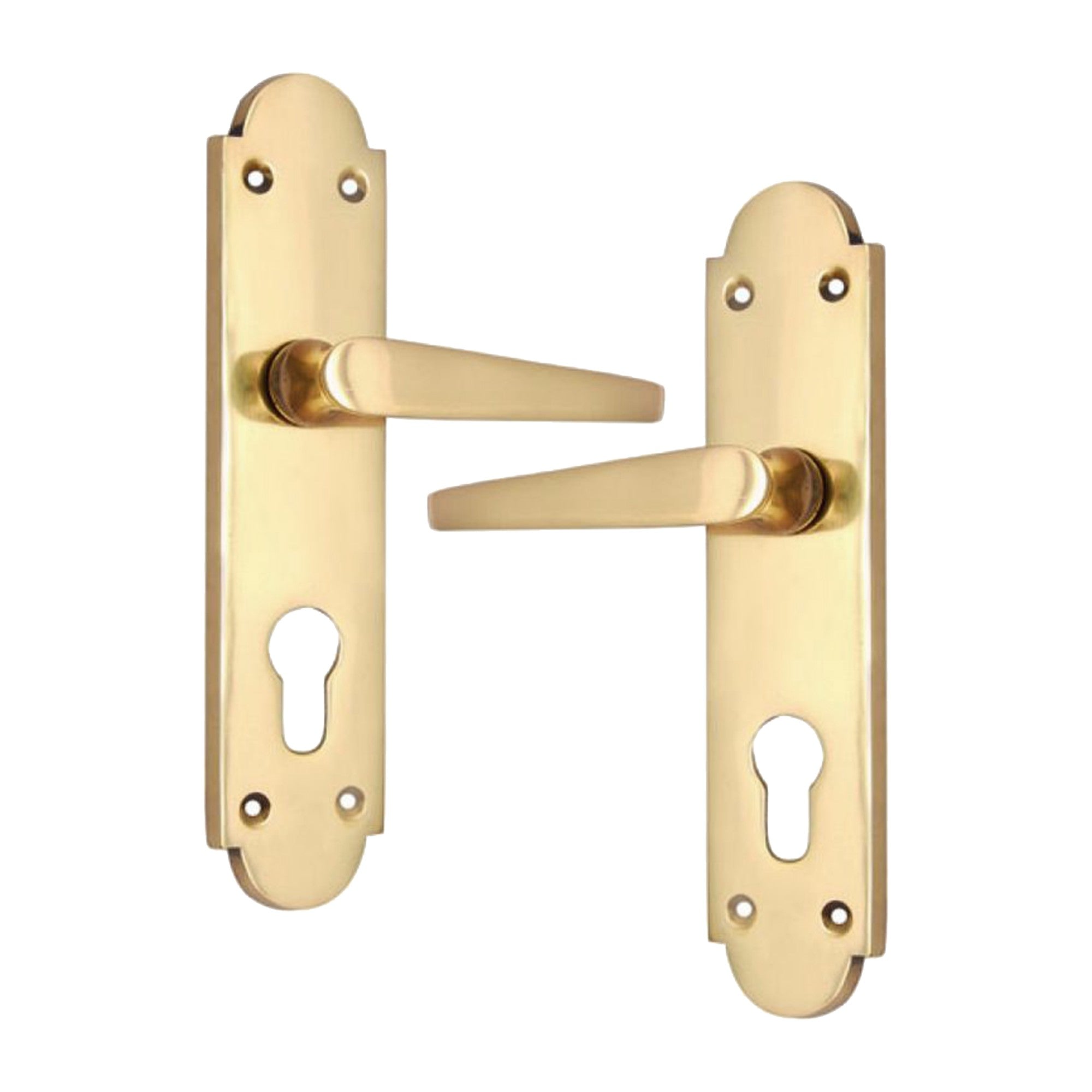 Brass Door Handle with Plate - Polish Lacquered