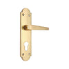 Brass Door Handle with Plate - Polish Lacquered