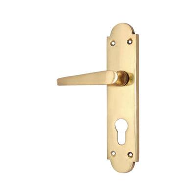 Brass Door Handle with Plate - Polish Lacquered