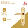 Brass Door Handle with Plate - Polish Lacquered