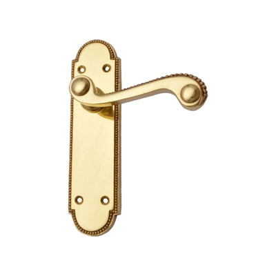 Brass Door Handle with Plate - Polish Lacquered