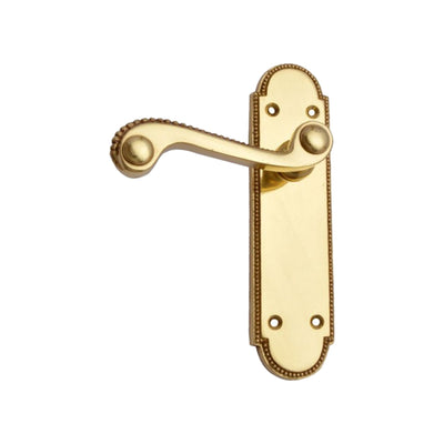 Brass Door Handle with Plate - Polish Lacquered