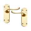 Brass Door Handle with Plate - Polish Lacquered