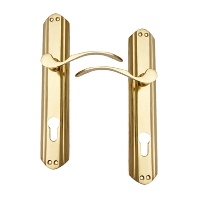 Brass Door Handle with Plate - Polish Lacquered