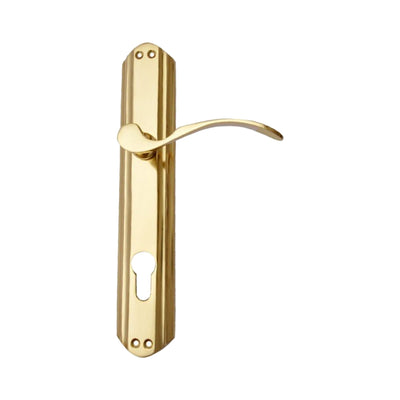 Brass Door Handle with Plate - Polish Lacquered