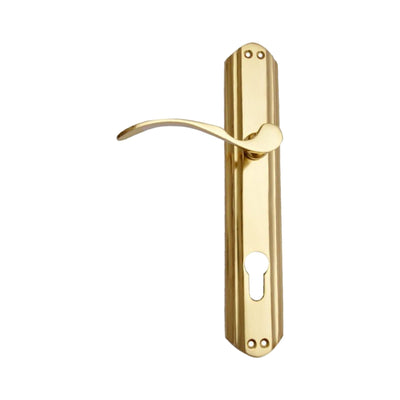 Brass Door Handle with Plate - Polish Lacquered