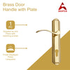 Brass Door Handle with Plate - Polish Lacquered