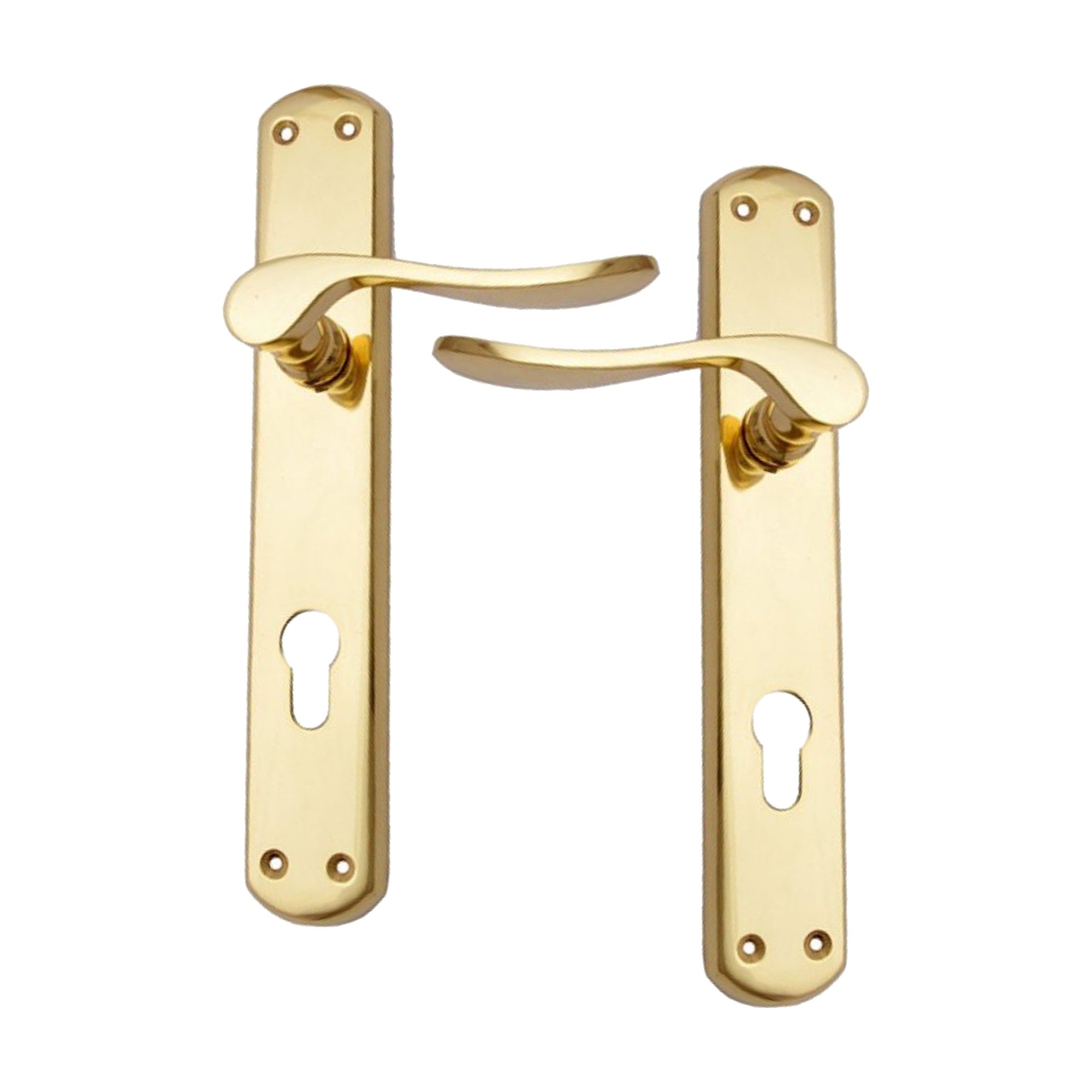 Brass Door Handle with Plate - Polish Lacquered