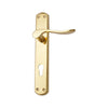 Brass Door Handle with Plate - Polish Lacquered