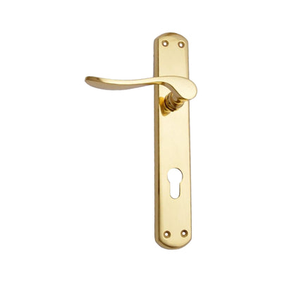 Brass Door Handle with Plate - Polish Lacquered