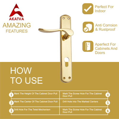 Brass Door Handle with Plate - Polish Lacquered