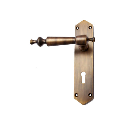 Brass Door Handle with Plate - Antique Brass