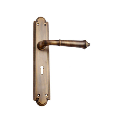 Brass Door Handle with Plate - Antique Brass