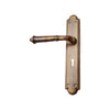 Brass Door Handle with Plate - Antique Brass