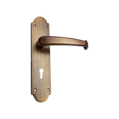 Brass Door Handle with Plate - Antique Brass