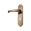 Brass Door Handle with Plate - Antique Brass