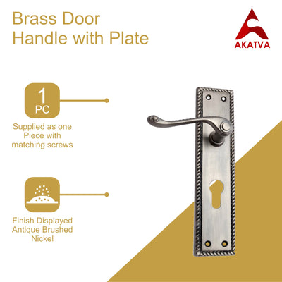 Brass Door Handle with Plate - Antique Brushed Nickel