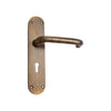 Brass Door Handle with Plate - Antique Brass