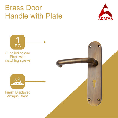 Brass Door Handle with Plate - Antique Brass