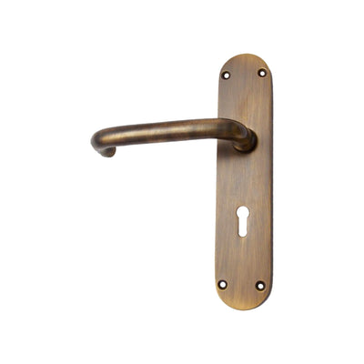 Brass Door Handle with Plate - Antique Brass