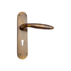 Brass Door Handle with Plate - Antique Brass