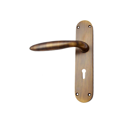 Brass Door Handle with Plate - Antique Brass